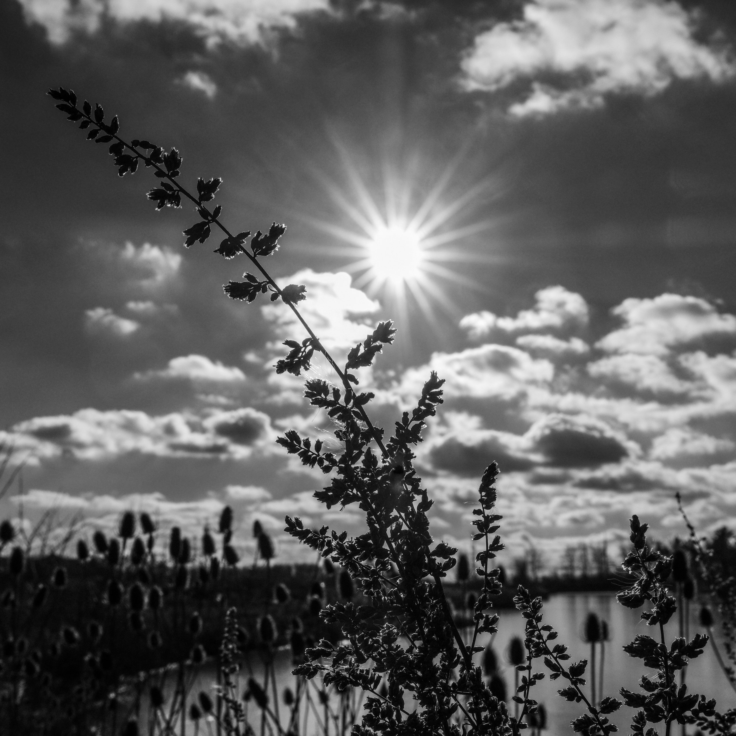 ENERGIE 4_SOLAIRE https://atterra.ma/wp-content/uploads/2025/11/ENERGIE-4_SOLAIRE-scaled.jpg